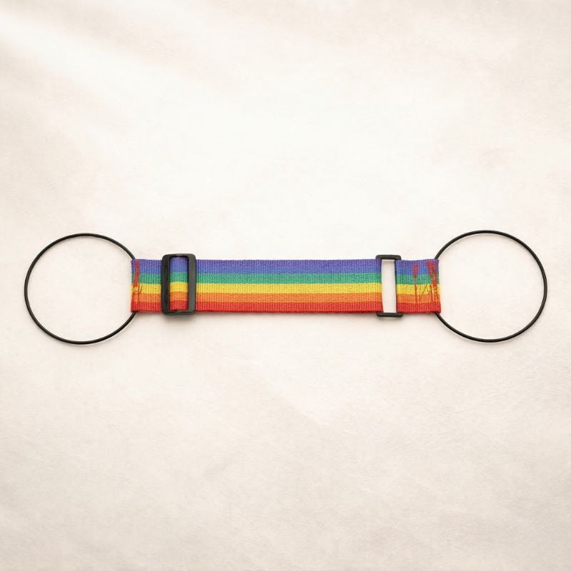 Strapo™ | Adjustable Rainbow Luggage Strap